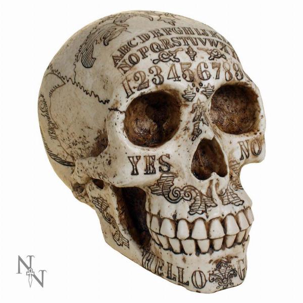 Photo #4 of product D1500D5 - Nemesis Now Spirits Commune Skull 20cm