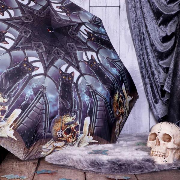 Photo #2 of product B5865U1 - Lisa Parker Spirits of Salem Umbrella