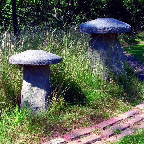 Photo of Staddlestones (One Large and One Small)