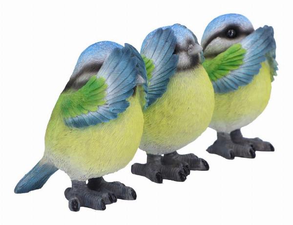 Photo #4 of product B6947A25 - Three Wise Blue Tits