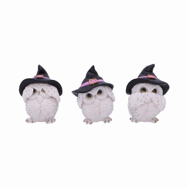 Photo #1 of product U5736U1 - Three Wise Feathered Familiars 9cm