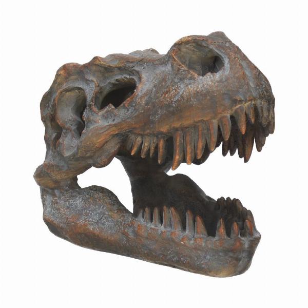 Photo #1 of product D1245D5 - Freestanding Tyrannosaurus Rex Skull Figurine Ornament