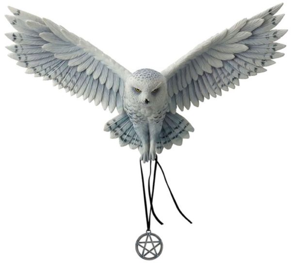 Photo of Awaken your Magic Wise Owl Wall Plaque (Anne Stokes) 45 cm