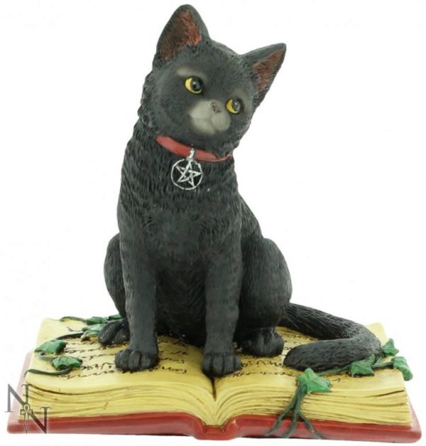 Photo of Black Cat on Spell Book Figurine 12cm