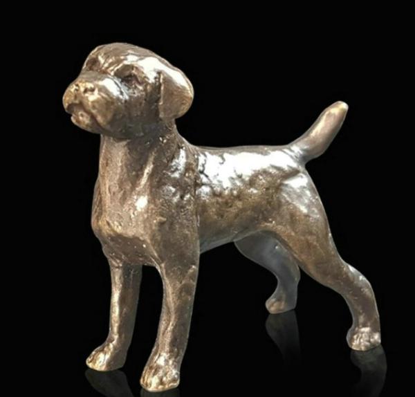 Photo of Border Terrier Bronze Miniature (Butler and Peach)