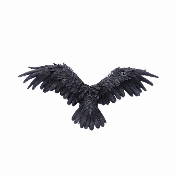 Photo #3 of product U6102W2 - Dark Feather Owl Wall Plaque 55cm