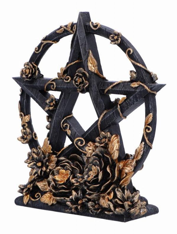 Photo #2 of product B6616B24 - Dark Floral Decorative Pentagram Ornament