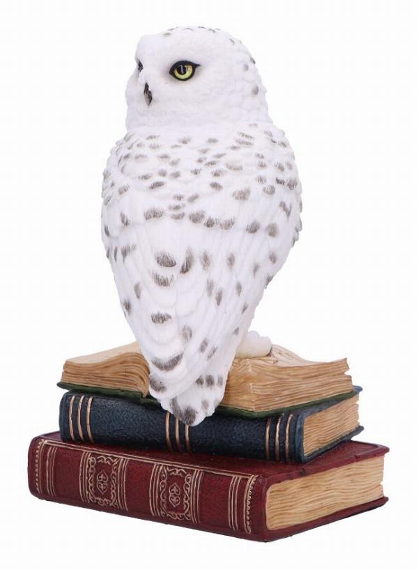 Photo #2 of product D6818B24 - Library of Wisdom White Owl Figurine