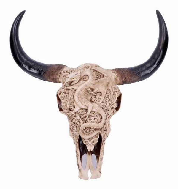 Photo #1 of product D4761P9 - Mythical Markings Carved Dragon Animal Skull