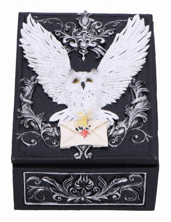 Photo #1 of product U7005A25 - Owl Messenger Box