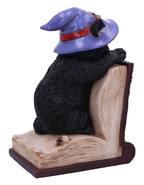 Photo #4 of product U6504Y3 - Peek-a-boo Witch Cat Bookend