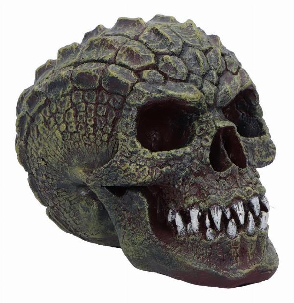 Photo #1 of product D6775A24 - Reptillian Scale Skull 17cm