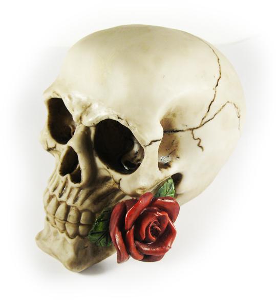 Photo of Romantic Skull