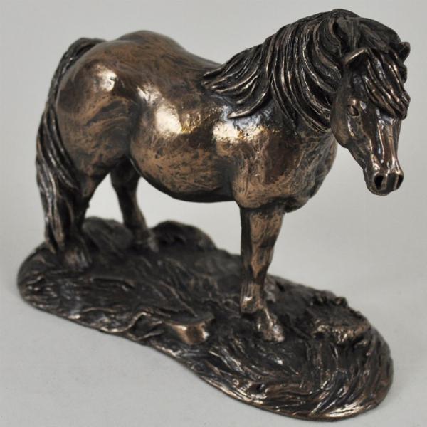 Photo of Shetland Pony Cold Cast Bronze Sculpture by Harriet Glen