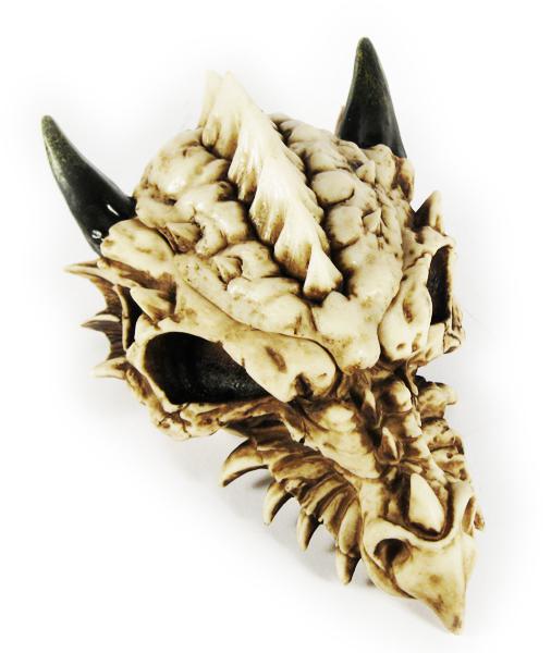 Photo of Smaug Dragon Skull Trinket Box