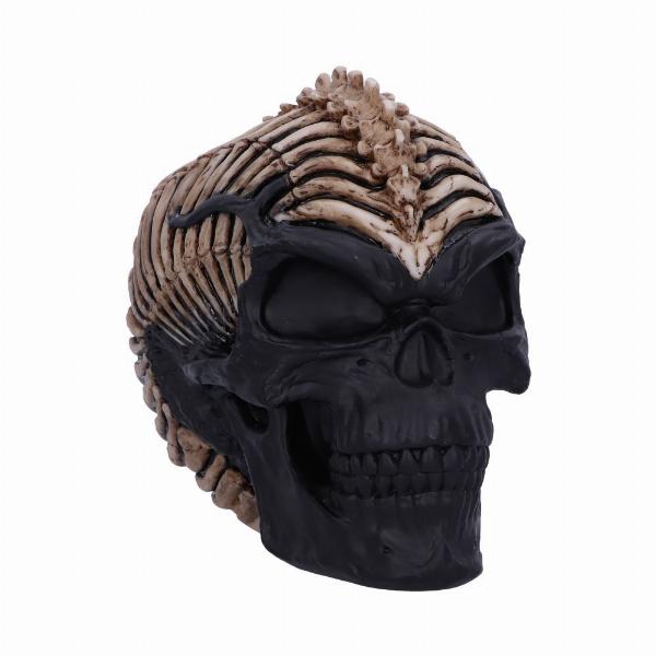 Photo #1 of product B5390S0 - Officially Licensed James Ryman Spine Head Skull Skeleton Ornament