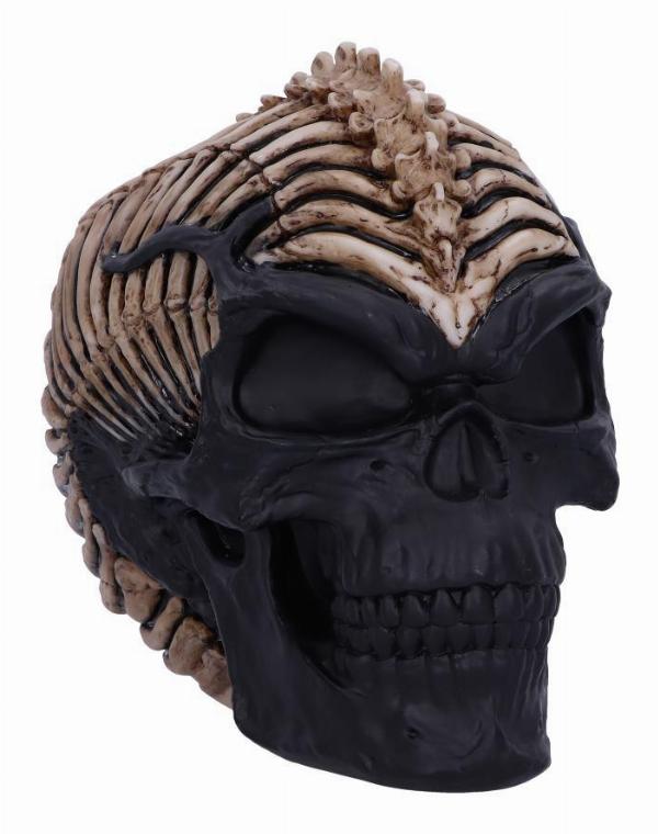 Photo #1 of product B5390S0 - Officially Licensed James Ryman Spine Head Skull Skeleton Ornament