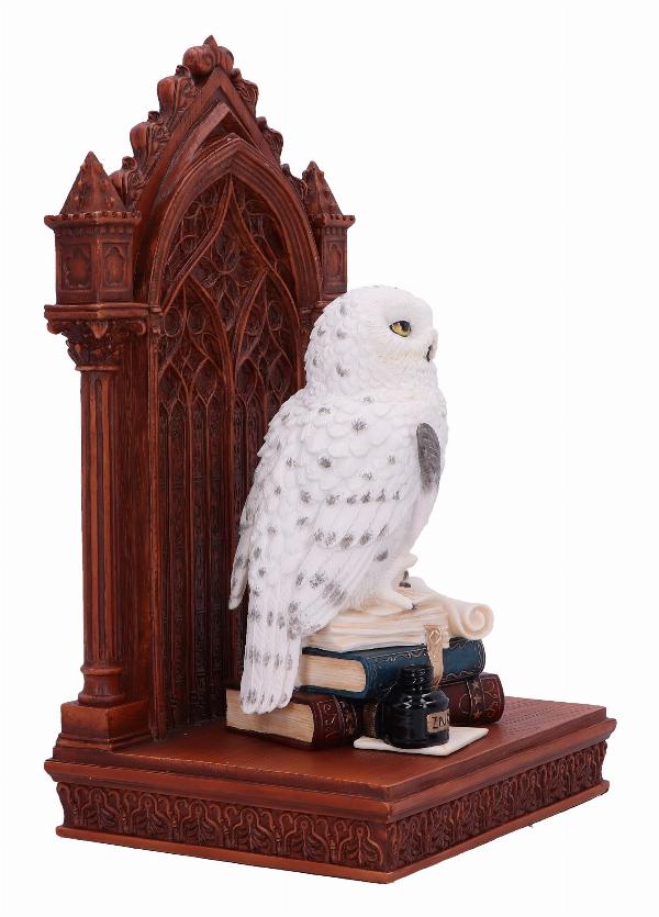 Photo #4 of product D6525Y3 - The Scribe's Companion Enchanting Owl Ornament