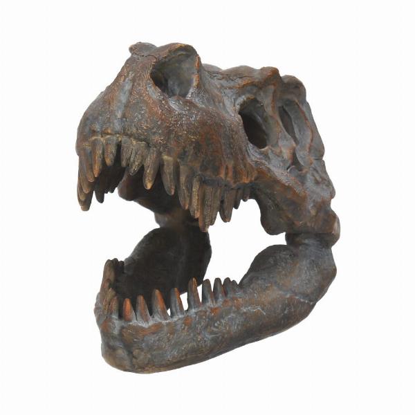Photo #2 of product D1245D5 - Freestanding Tyrannosaurus Rex Skull Figurine Ornament