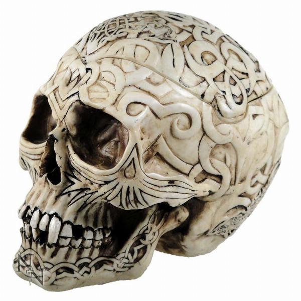 Photo #1 of product PC2788 - Skull Box Engraved With Celtic Patterns 20cm