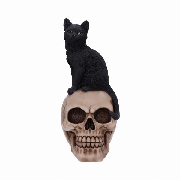 Photo #2 of product U5453T1 - Familiar Fate 24.3cm Black Witches Cat and Skull Figurine