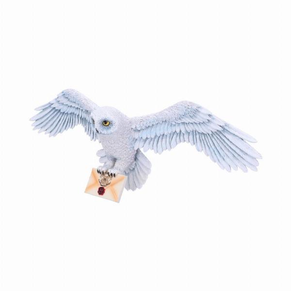 Photo #4 of product B6054W2 - Harry Potter Hedwig Owl Wall Plaque 45cm