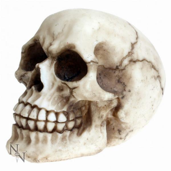 Photo of Joker Skull Ornament 11.5cm