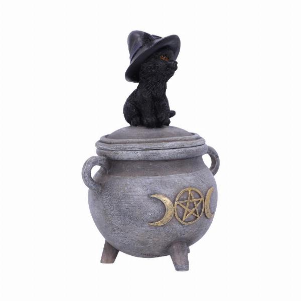 Photo #4 of product U5823U1 - Witch Cat Cauldron Box 14cm