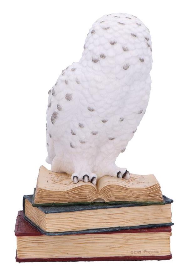 Photo #3 of product D6818B24 - Library of Wisdom White Owl Figurine