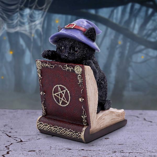 Photo #5 of product U6504Y3 - Peek-a-boo Witch Cat Bookend