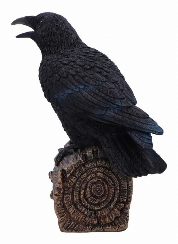Photo #4 of product D7085B25 - Ravens Cry With Motion Activated Sound