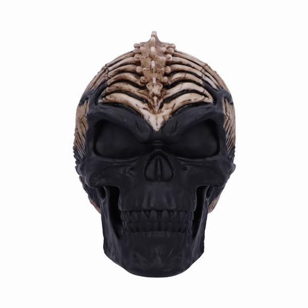 Photo #2 of product B5390S0 - Officially Licensed James Ryman Spine Head Skull Skeleton Ornament