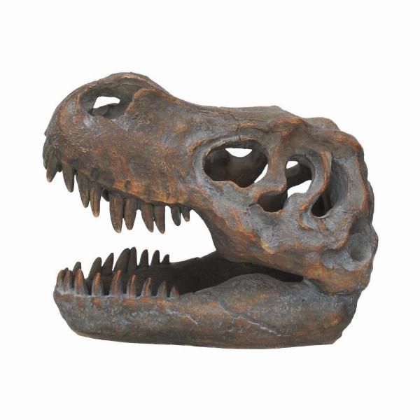 Photo #3 of product D1245D5 - Freestanding Tyrannosaurus Rex Skull Figurine Ornament