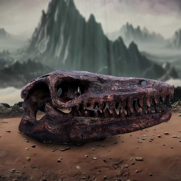 Photo #5 of product D7106B25 - Archaeopteryx Skull Decorative Resin Replica