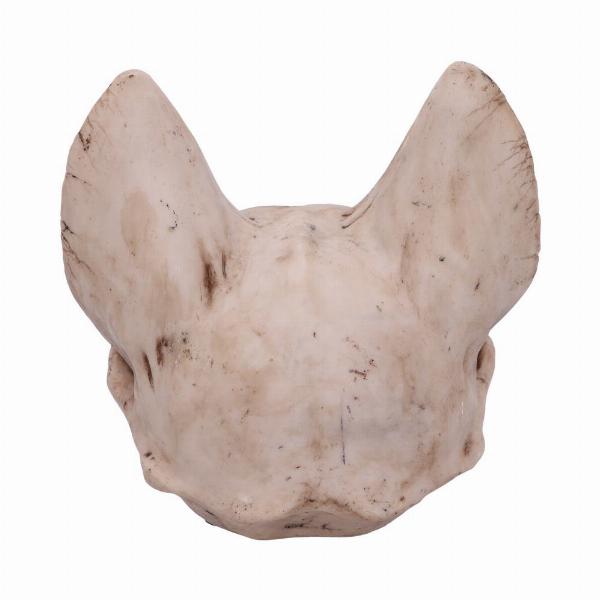 Photo #3 of product D4916R0 - Bastet's Secret Cat Skull Figurine Ornament