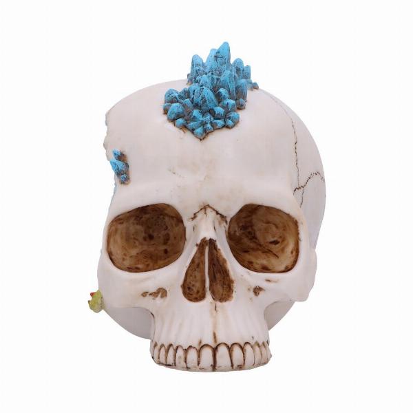 Photo #3 of product U5687U1 - Blue Crystal Cave Skull 16.5cm