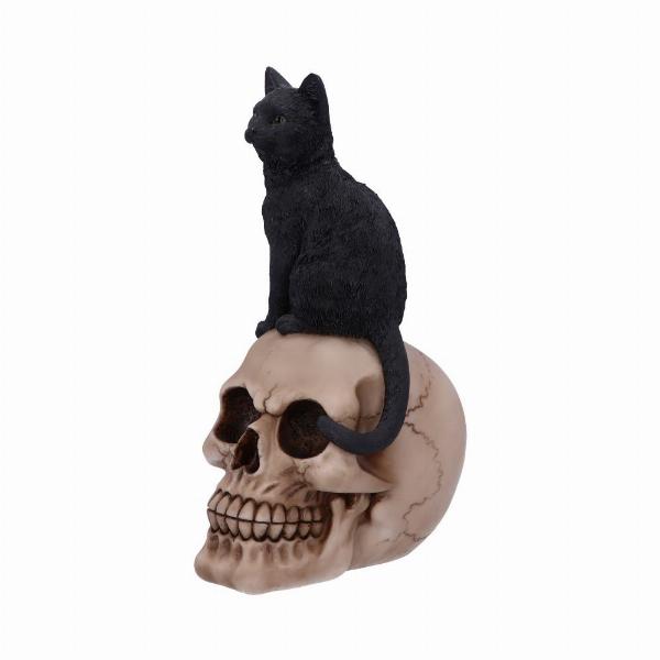 Photo #3 of product U5453T1 - Familiar Fate 24.3cm Black Witches Cat and Skull Figurine