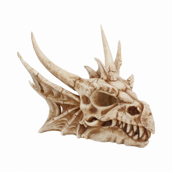 Photo #1 of product U4505N9 - Lumo Luminescent Light Up Dragon Skull