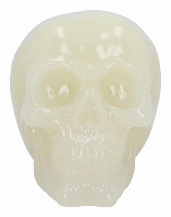 Photo #2 of product U6874C24 - Phosphorescent Glow in the Dark Skull