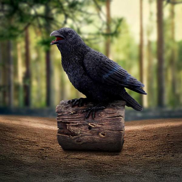 Photo #5 of product D7085B25 - Ravens Cry With Motion Activated Sound