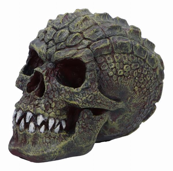 Photo #3 of product D6775A24 - Reptillian Scale Skull 17cm