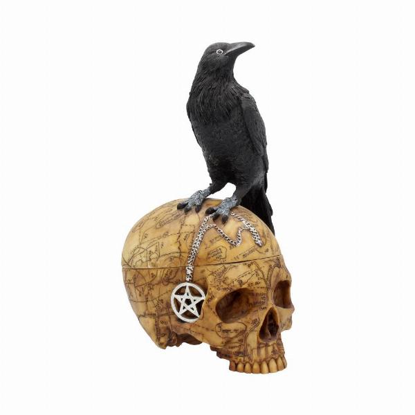 Photo #1 of product NOW6861 - Salems Familiar Box Gothic Raven Skull Witch Pentagram Trinket Box