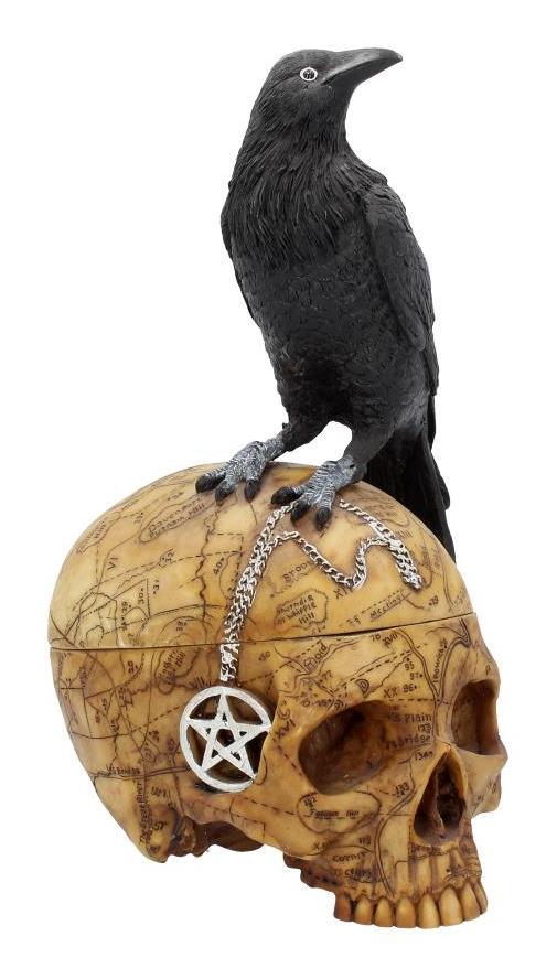 Photo #1 of product NOW6861 - Salems Familiar Box Gothic Raven Skull Witch Pentagram Trinket Box