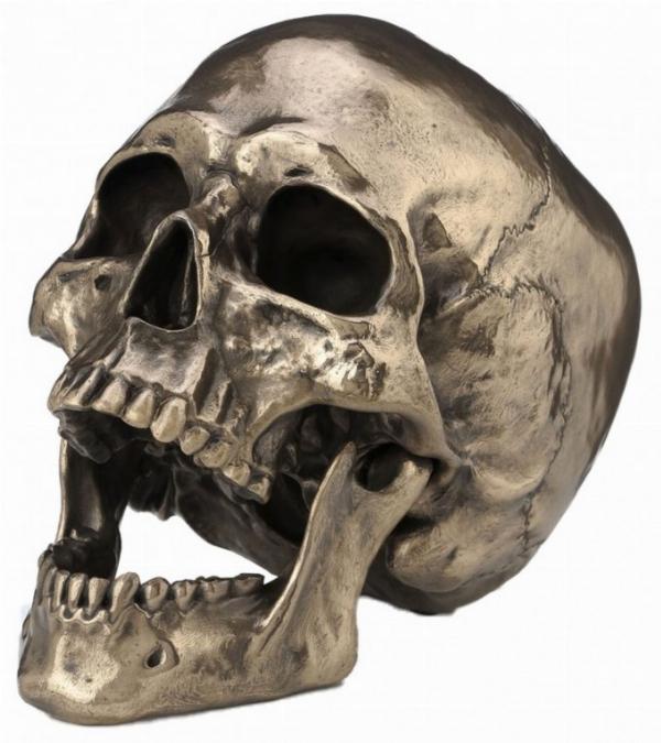 Photo of Skull with Movable Jaw Bronze Heavyweight Ornament