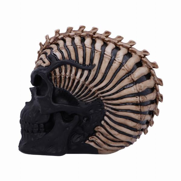 Photo #3 of product B5390S0 - Officially Licensed James Ryman Spine Head Skull Skeleton Ornament