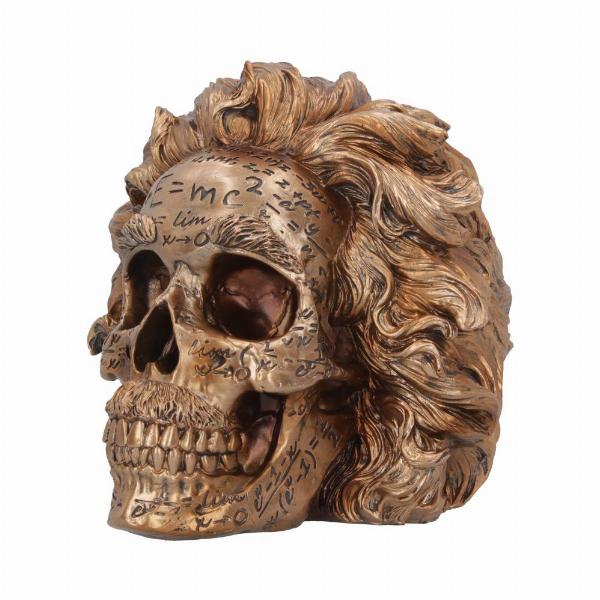 Photo #3 of product B6163W2 - The Theory of Relativity Bronze Einstein Skull 21cm