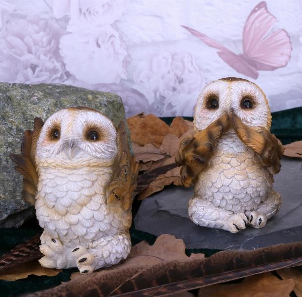 Photo #2 of product U4462N9 - Three Wise Brown Owls 7.5cm