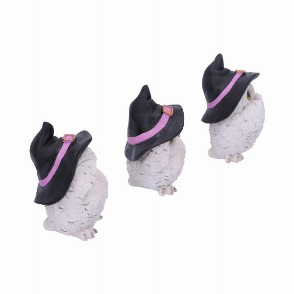 Photo #4 of product U5736U1 - Three Wise Feathered Familiars 9cm