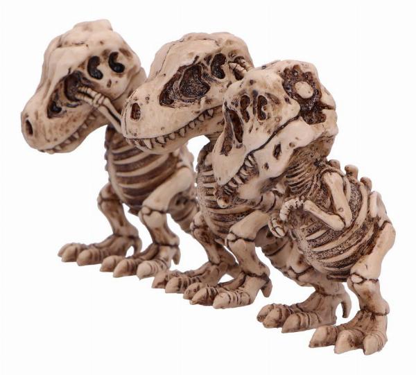 Photo #2 of product B6974A25 - Three Wise Tyrannosaurus Rex Skeletons