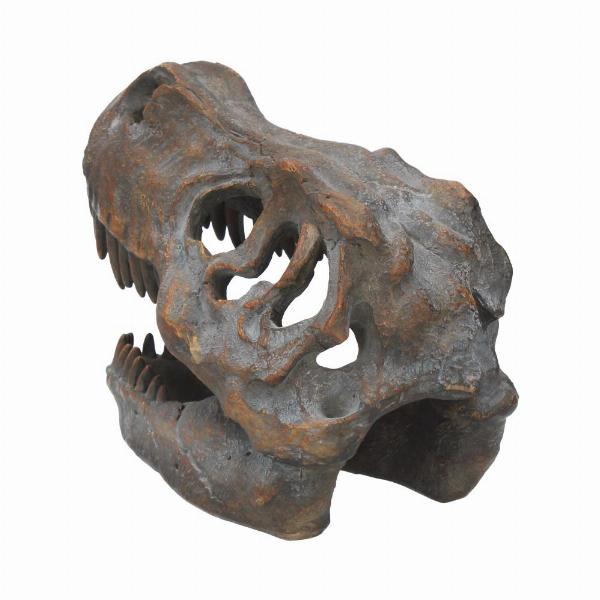 Photo #4 of product D1245D5 - Freestanding Tyrannosaurus Rex Skull Figurine Ornament
